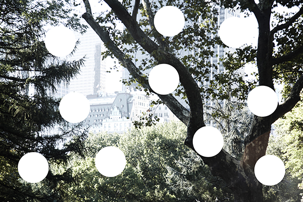 Project for A. HERZOG